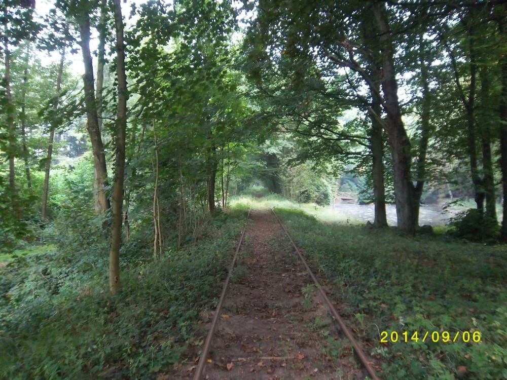 ZWNEGI18